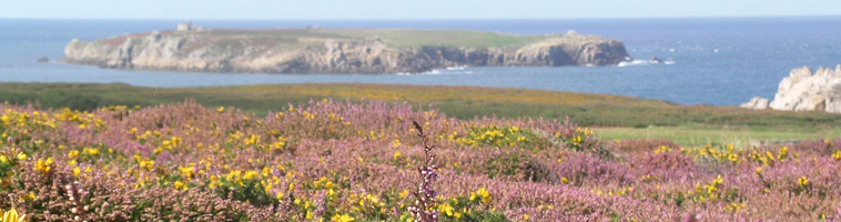 Ile d'Ouessant