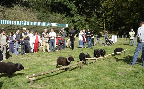 concours nationale 2005 du GEMO