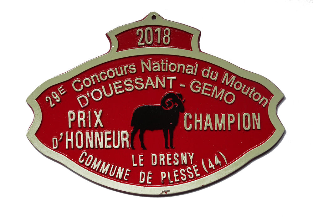 concours national mouton ouessant gemo 2018
