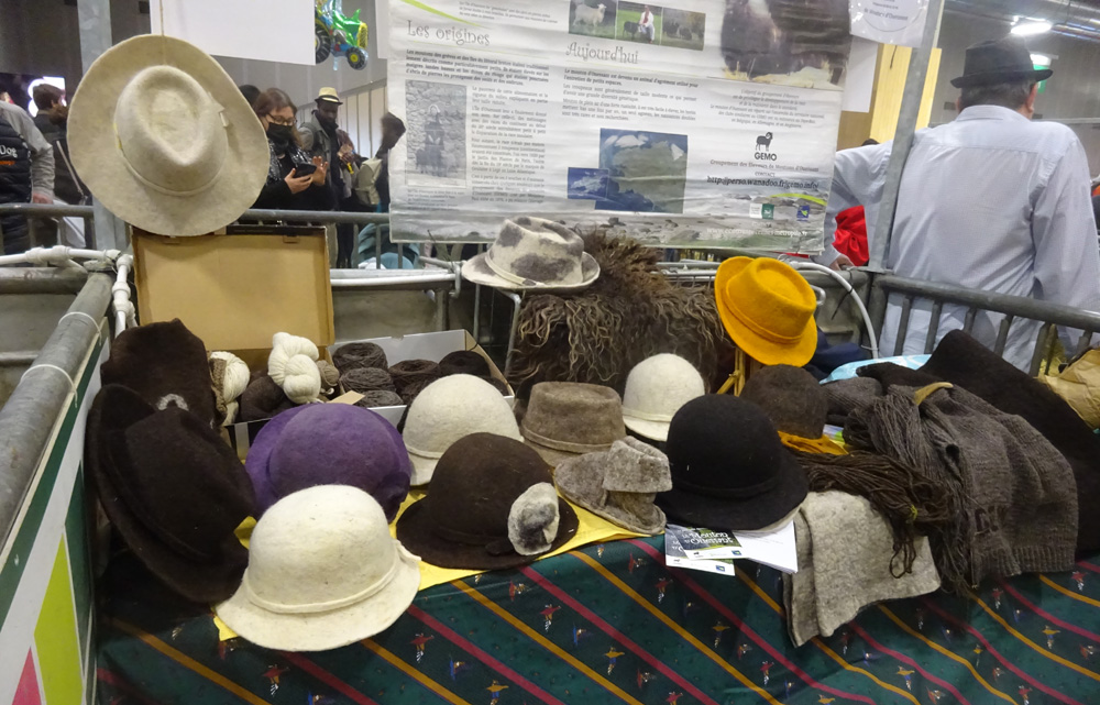Chapeaux en laine de mouton d'Ouessant au Salon de l'Agriculture